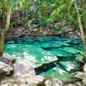 MEXIQUE YUCATAN CENOTES 4